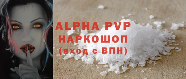 гидра Горняк