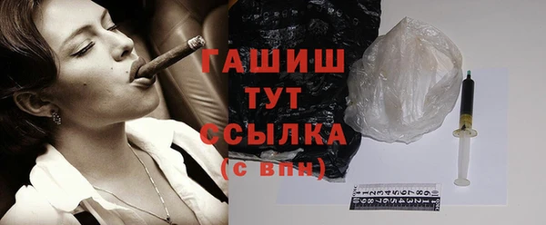 гидра Горняк