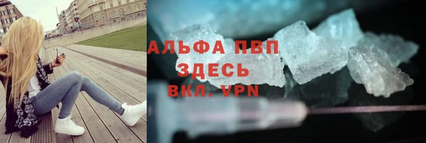 гидра Горняк