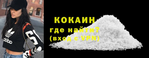 гидра Горняк