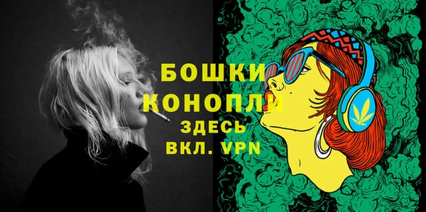 PSILOCYBIN Горнозаводск