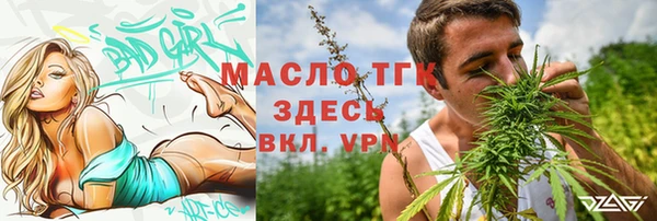 гидра Горняк