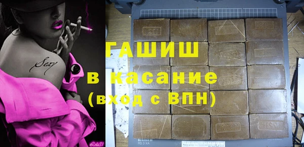 гидра Горняк