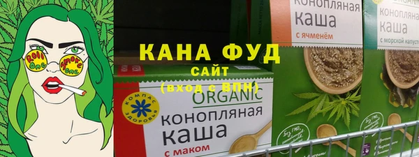 гидра Горняк