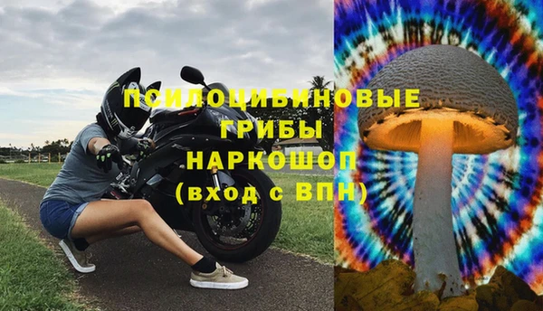 ПСИЛОЦИБИНОВЫЕ ГРИБЫ Вязники