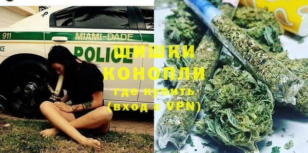 PSILOCYBIN Горнозаводск