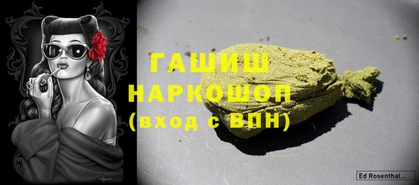 гидра Горняк